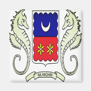 YT - Mayotte - Flagge Magnet