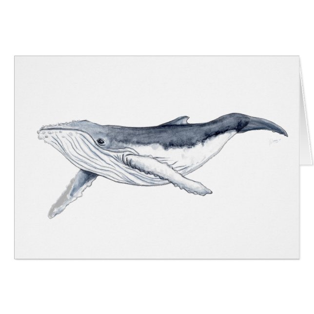 Yubarta trinkt Wal (Vorderseite (Horizontal))