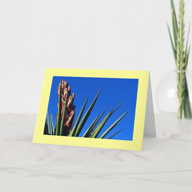 Yucca #1 karte (Vorderseite)