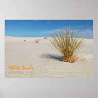 Yucca auf weißem Sand