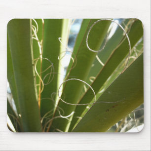 Yucca-Blätter Grüne Naturfotografie Mousepad
