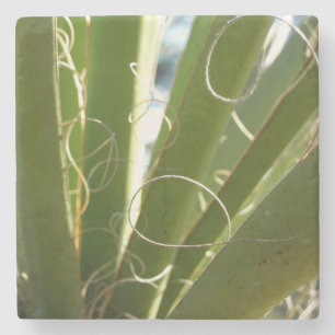 Yucca-Blätter Grüne Naturfotografie Steinuntersetzer