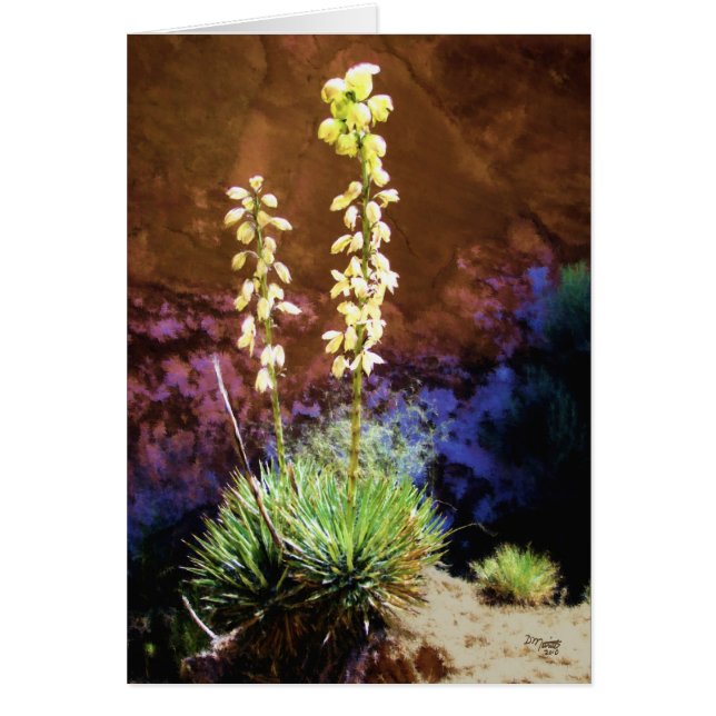Yucca-Blume im Hauptstadt Reef (Vorne)