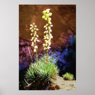 Yucca-Blume im Hauptstadt Reef Poster