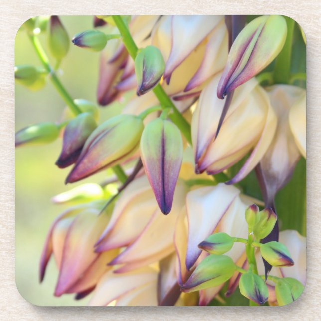 Yucca-Blume-Untersetzer Untersetzer (Vorderseite)