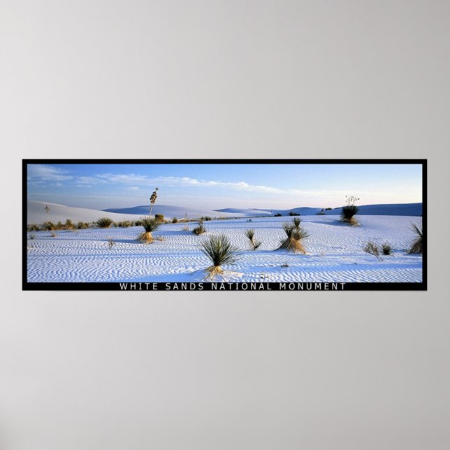 Yucca Panorama Poster (Vorne)