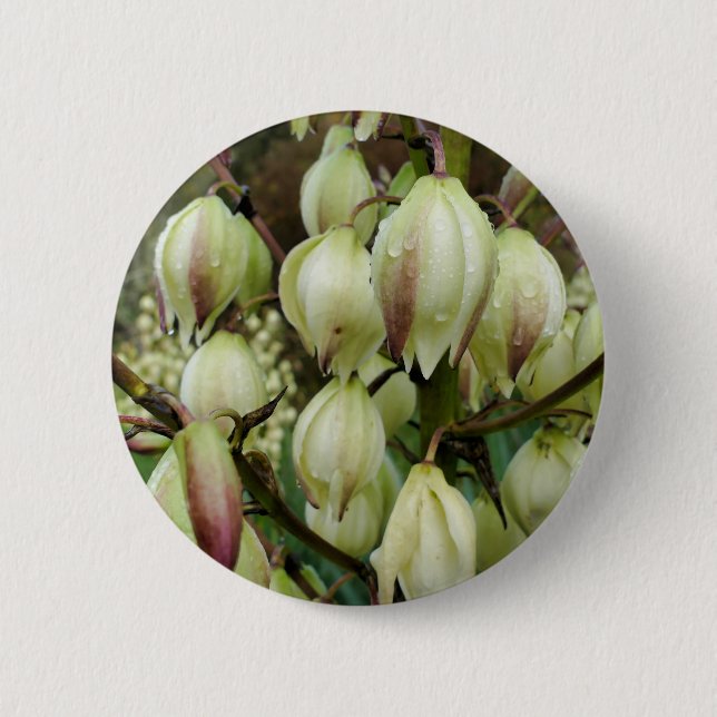 Yucca Pflanze Abzeichen Button (Vorderseite)