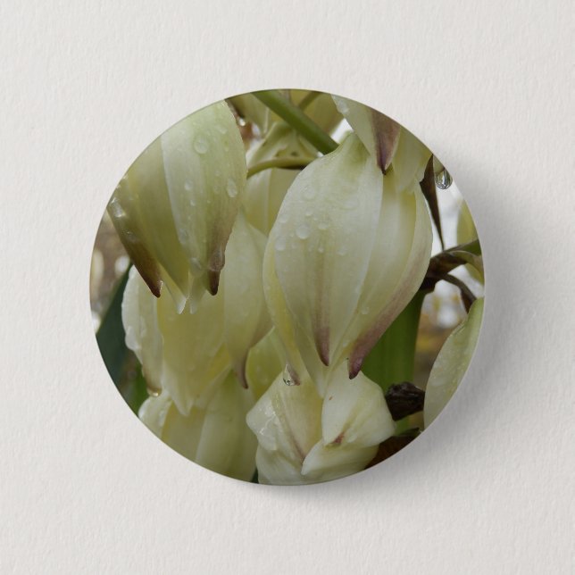 Yucca Pflanze Abzeichen Button (Vorderseite)