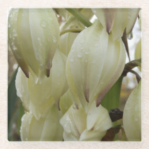 Yucca-Pflanze Glasuntersetzer