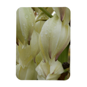 Yucca-Pflanze Magnet
