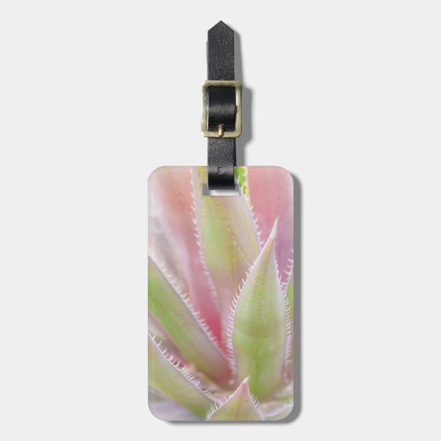 Yucca-Pflanze nah Gepäckanhänger (Vorderseite vertikal)