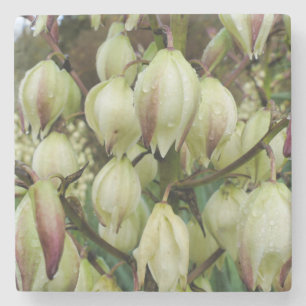 Yucca-Pflanze Steinuntersetzer