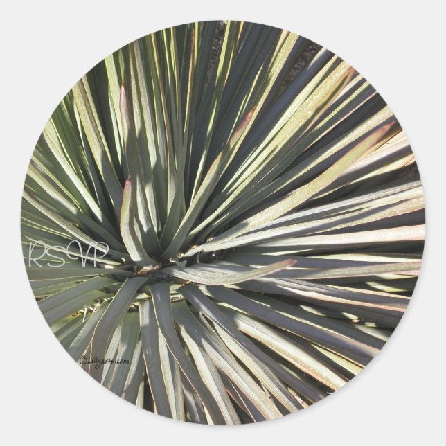 Yucca Radial UAWG Wedding Siegels Sticker (Vorderseite)