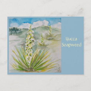 Yucca Soapweed Postkarte