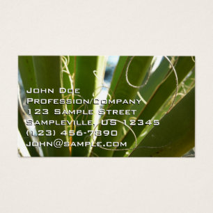 Yucca Verlasse grüne Naturfotografie