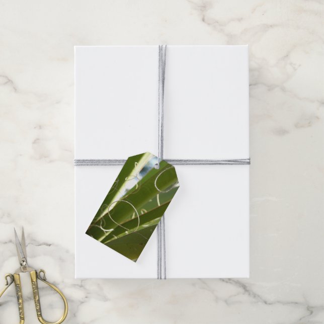 Yucca Verlasse grüne Naturfotografie Geschenkanhänger (Mit Garn)