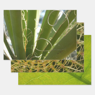 Yucca Verlasse grüne Naturfotografie Geschenkpapier Set