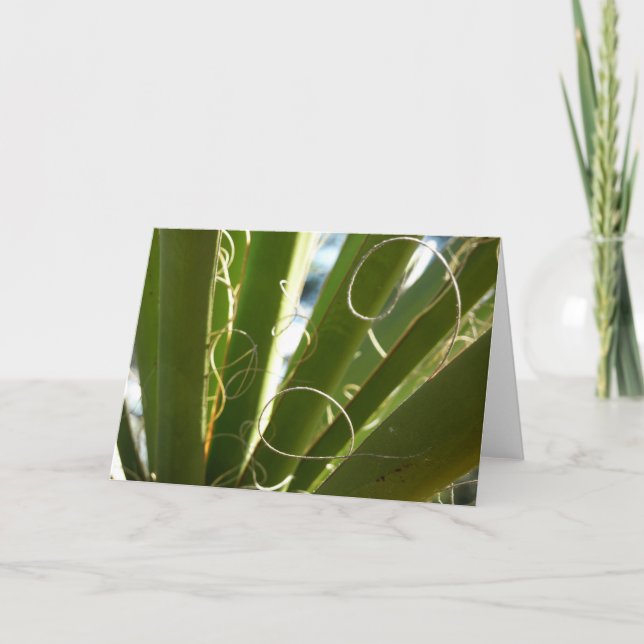 Yucca Verlasse grüne Naturfotografie Karte (Vorderseite)