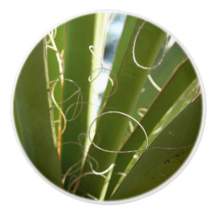 Yucca Verlasse grüne Naturfotografie Keramikknauf