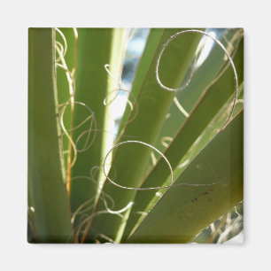Yucca Verlasse grüne Naturfotografie Magnet