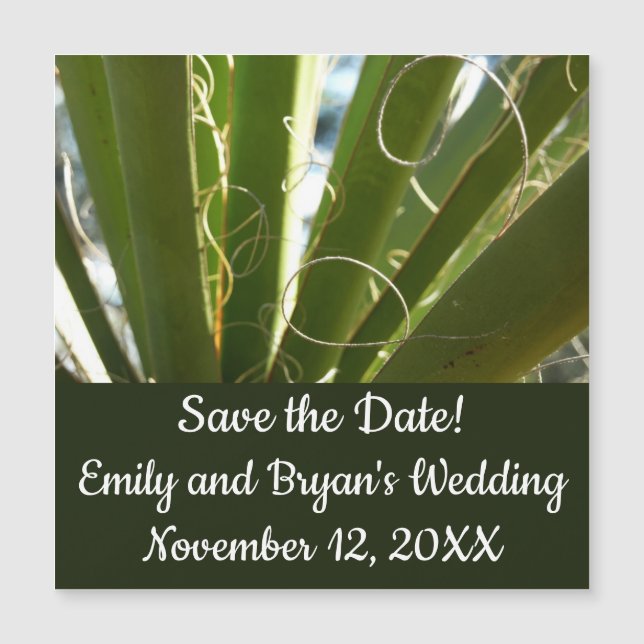 Yucca Verlasse grüne Naturfotografie Magnetkarte (Vorderseite)