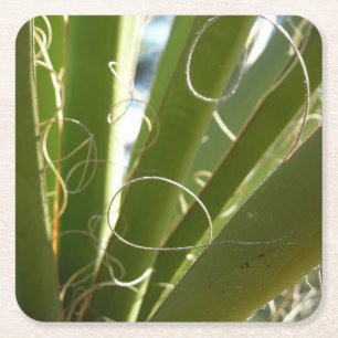 Yucca Verlasse grüne Naturfotografie Rechteckiger Pappuntersetzer