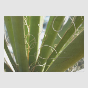 Yucca Verlasse grüne Naturfotografie Seidenpapier