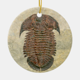 Yuepingia Fossil Trilobit Keramikornament