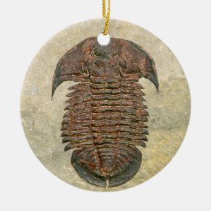 Yuepingia Fossil Trilobit Keramikornament