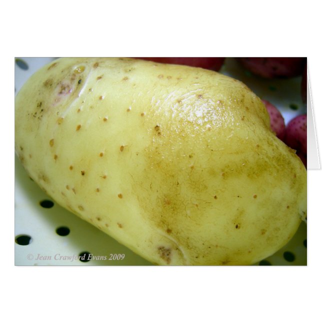 Yukon Gold Potato (Vorderseite (Horizontal))