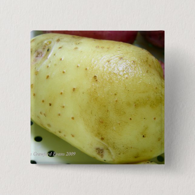 Yukon Gold Potato Button (Vorderseite)
