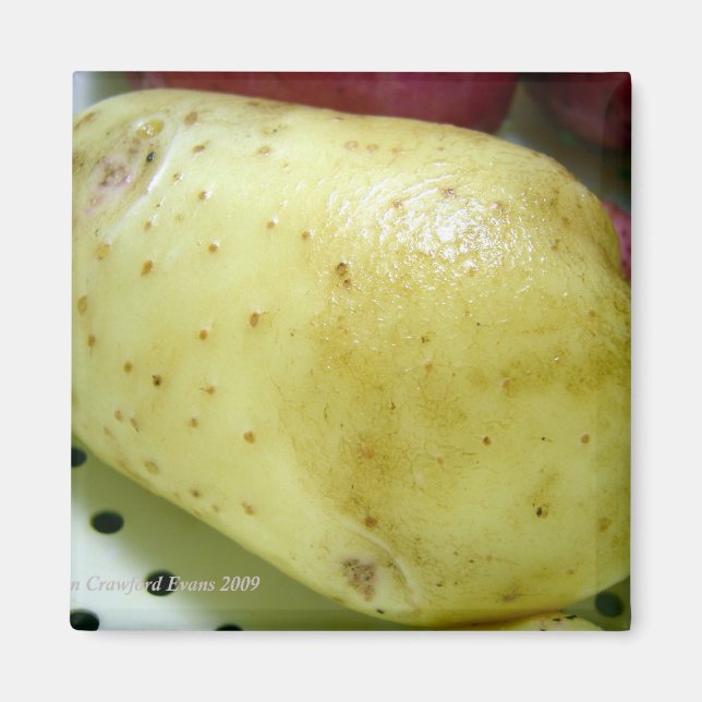 Yukon Gold Potato Magnet (Vorne)
