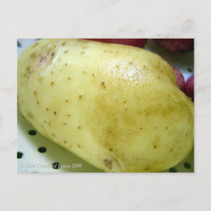 Yukon Gold Potato Postkarte