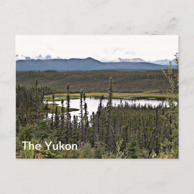 Yukon Pond Postkarte (Vorderseite)