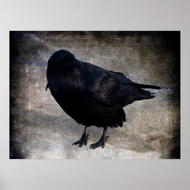 Yukon Raven Grunge Poster (Vorne)