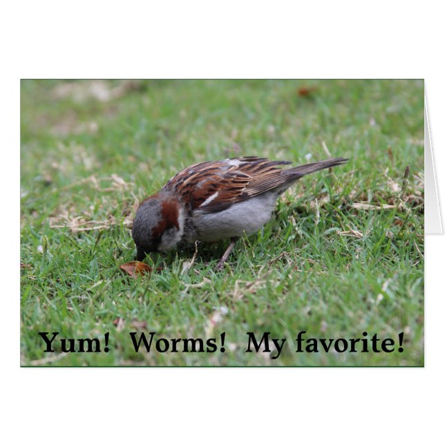 Yum!  Würmer! (Vorderseite (Horizontal))