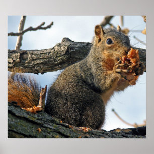 Yummy in meinem Bauch Poster