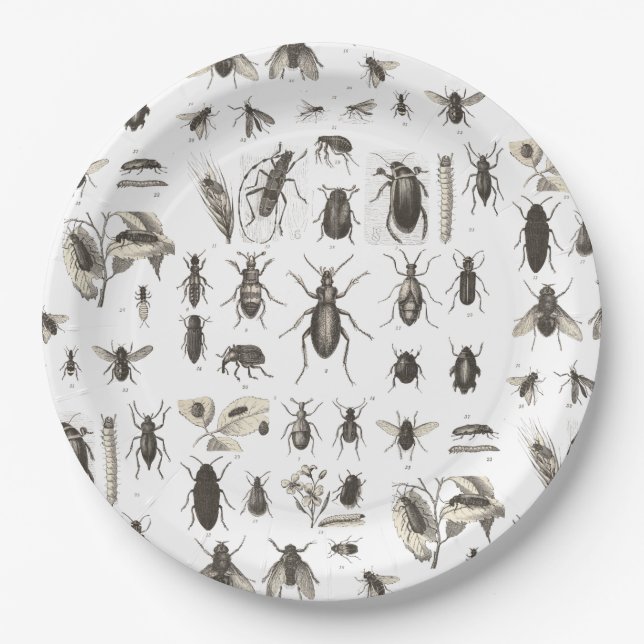 Yummy Wanzen-lustiger Pappteller (Vorderseite)