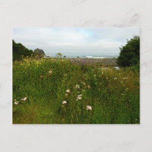 Yurok Loop Trail im Redwood Nationalpark Postkarte