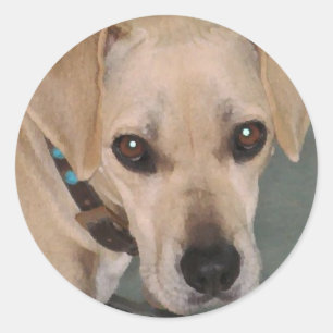 YY- Niedliche Jungtieraufkleber Runder Aufkleber