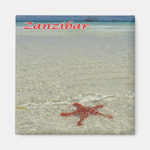 Z011 ZANZIBAR, Starfish, Tansania, Afrika, Kühlsch Magnet