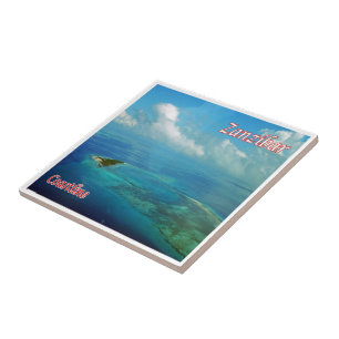 Z018 ZANZIBAR, Küste, Tansania, Afrika, Fliese