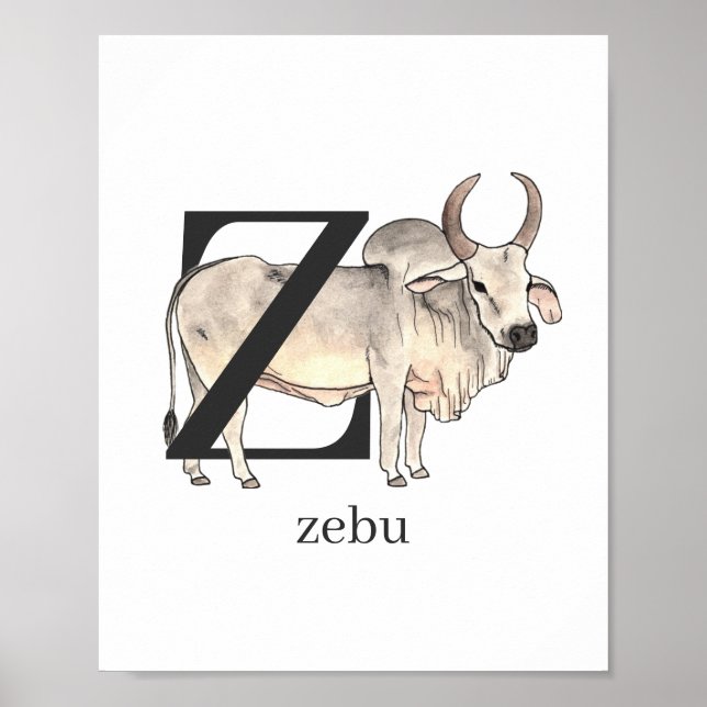 Z für Zebu-Poster Poster (Vorne)