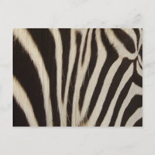 Z Stripes Postkarte