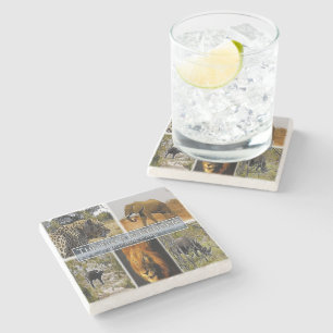 ZA * SÜDAFRIKA - DIE BIG 5 IN KRUGER N. P. STEINUNTERSETZER