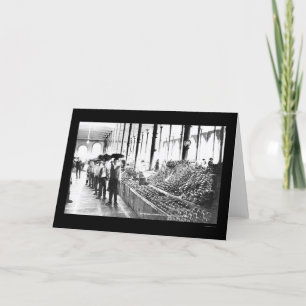 Zacatecas, Mexiko Lebensmittelmarkt 1904 Karte