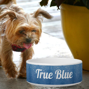 Zackenbarsch auf Royal Blue mit Name pet Napf