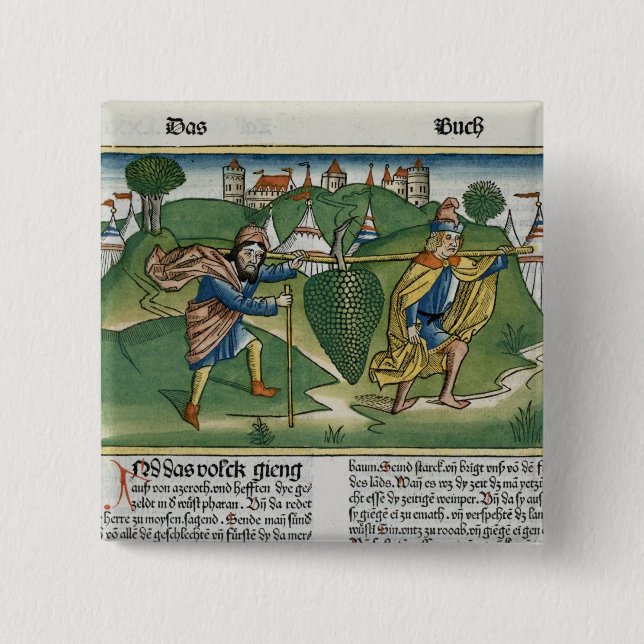 Zahlen 13 23 die Trauben von Eschol, vom 'Nure Button (Vorderseite)