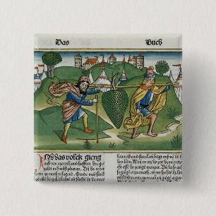 Zahlen 13 23 die Trauben von Eschol, vom 'Nure Button