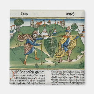 Zahlen 13 23 die Trauben von Eschol, vom 'Nure Magnet